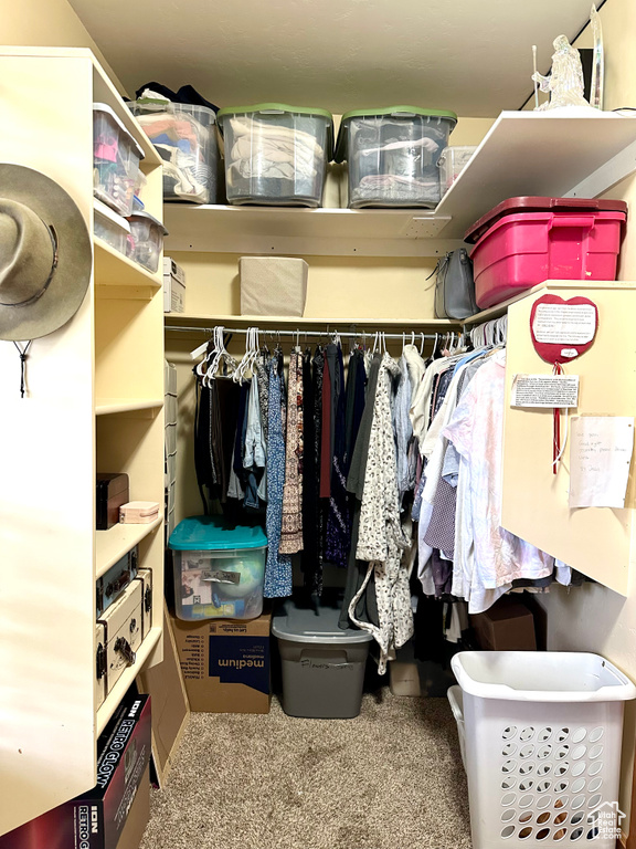Walk in closet featuring carpet floors