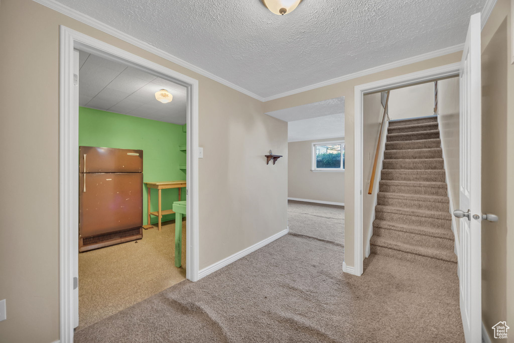Stairway with carpet, ornamental molding, and a textured ceiling