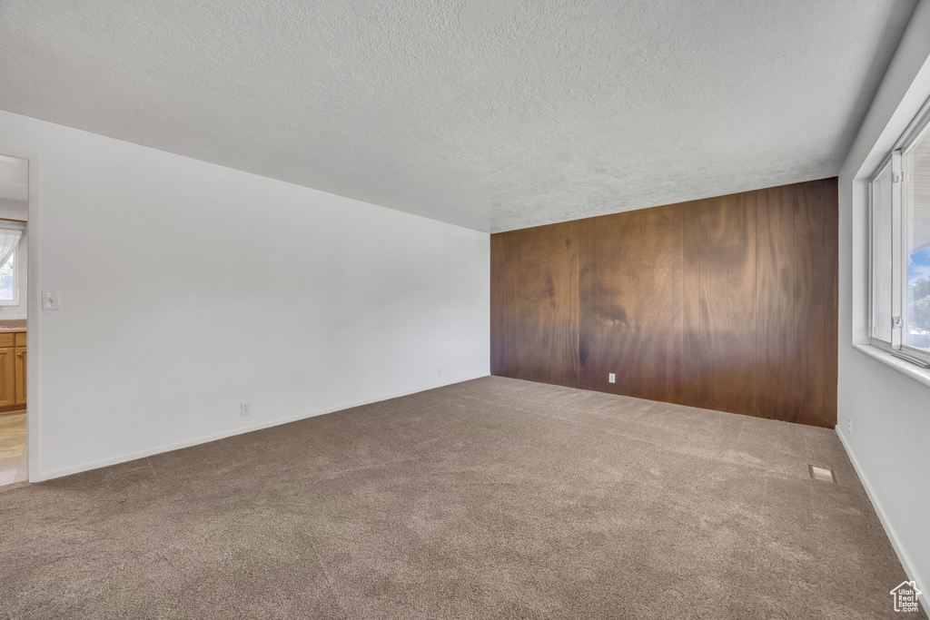 Spare room with carpet floors, a textured ceiling, plenty of natural light, and wood walls