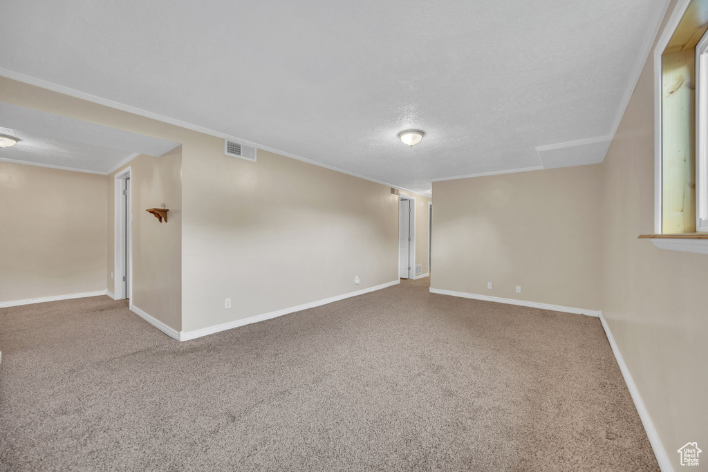 Carpeted spare room featuring crown molding and a textured ceiling