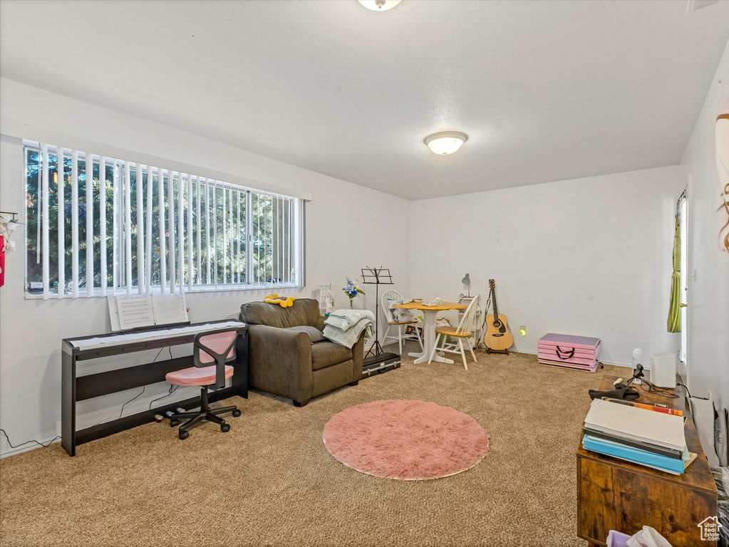 Playroom featuring carpet and baseboards