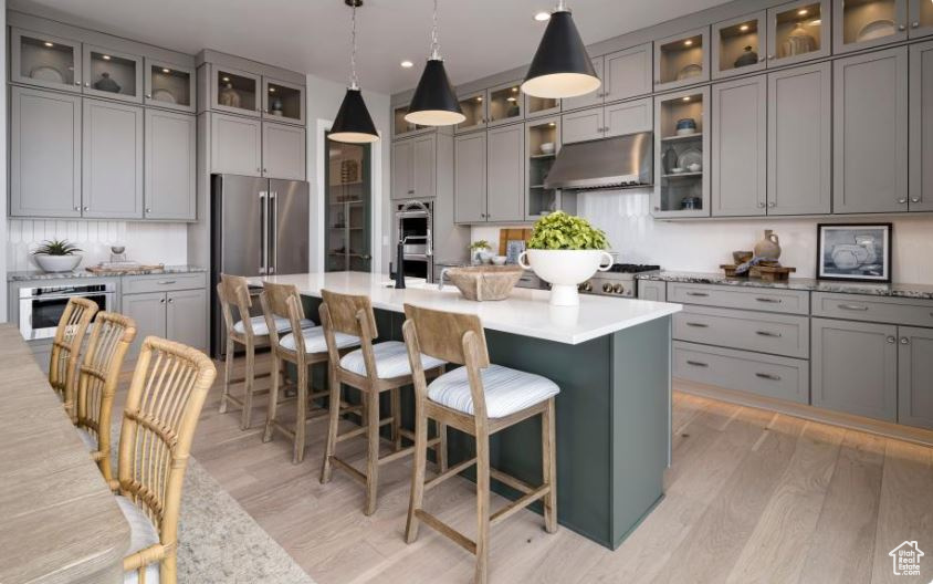 Kitchen featuring under cabinet range hood, gray cabinetry, appliances with stainless steel finishes, light wood-style flooring, and recessed lighting