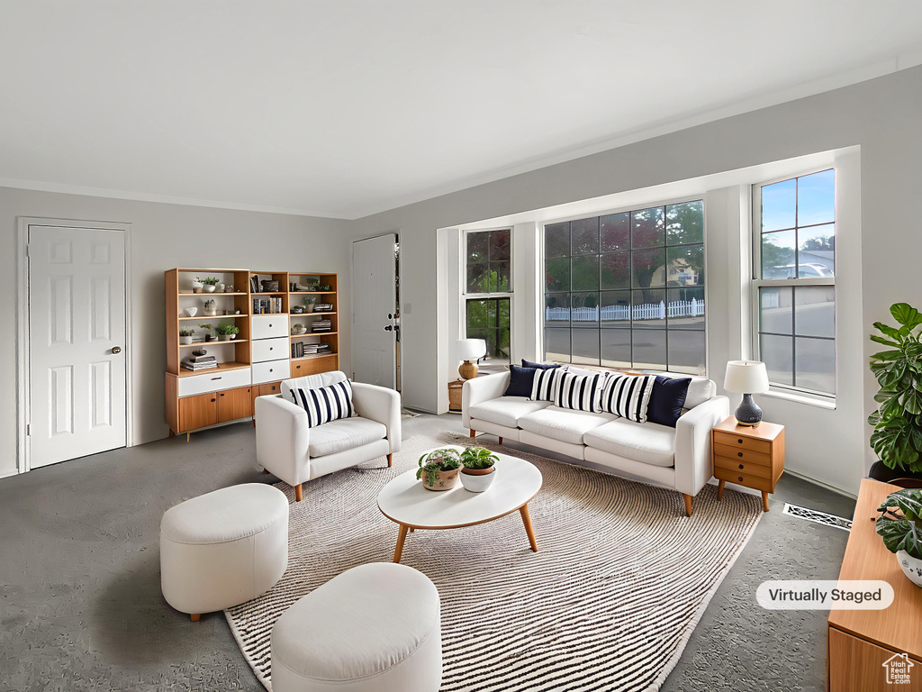 Living room featuring crown molding