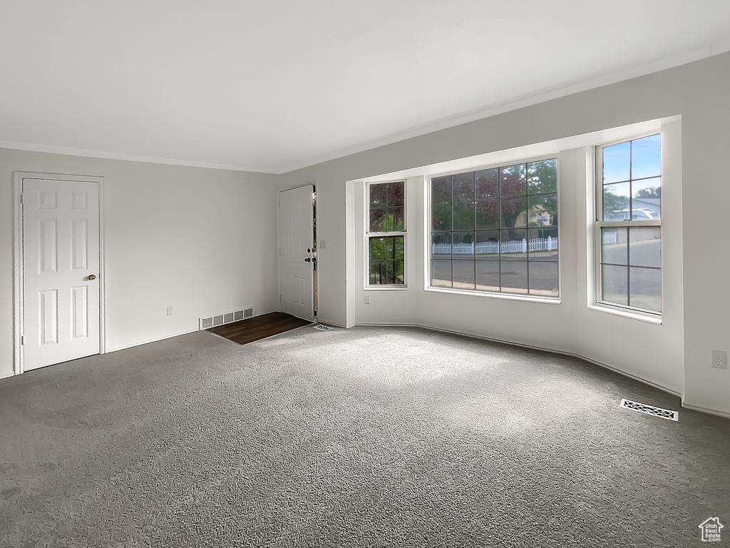 Carpeted empty room with ornamental molding