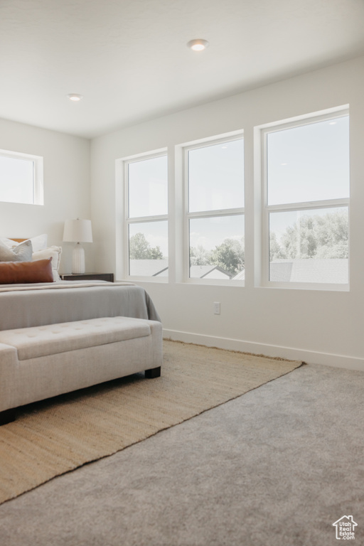 Carpeted bedroom featuring baseboards