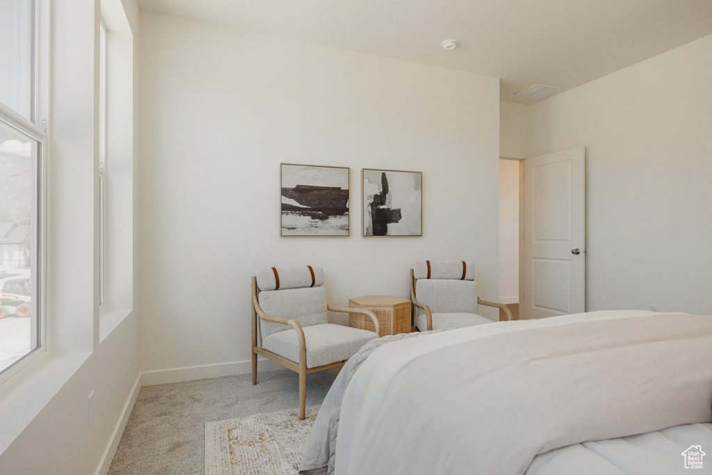 Carpeted bedroom featuring multiple windows