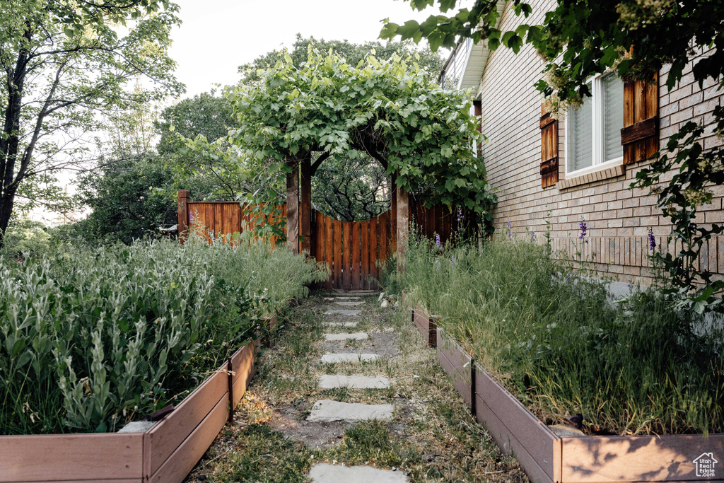View of yard featuring a garden
