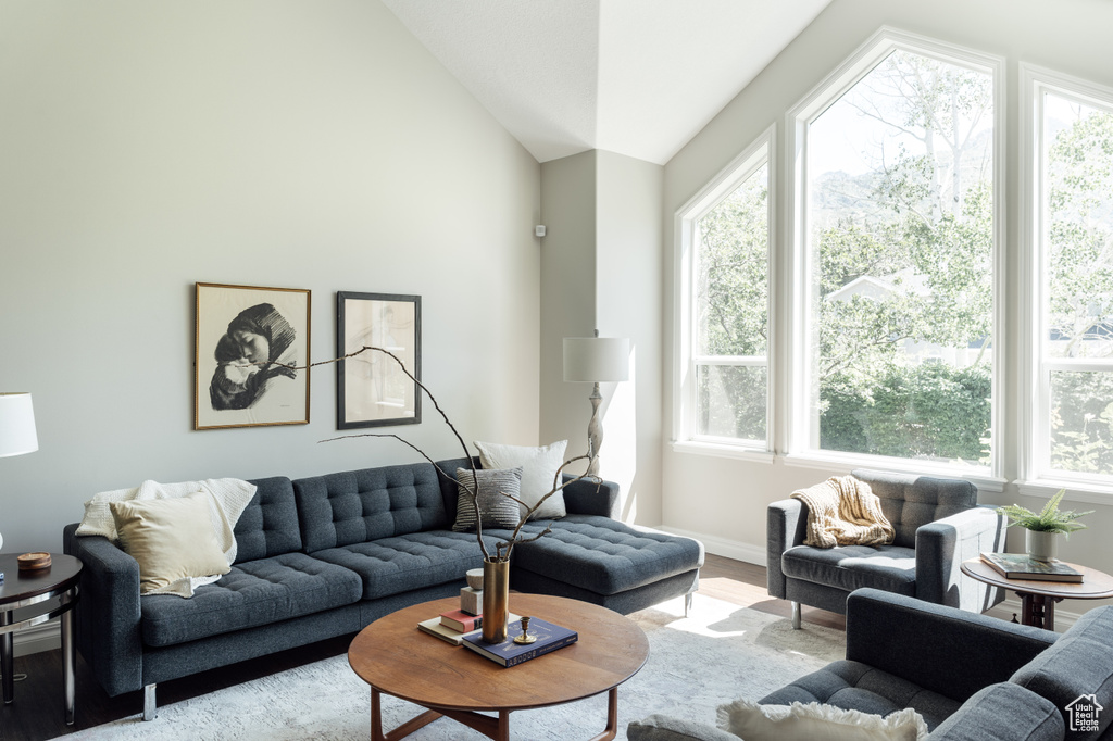 Living area featuring wood finished floors and lofted ceiling