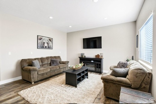 Living room featuring wood finished floors and recessed lighting