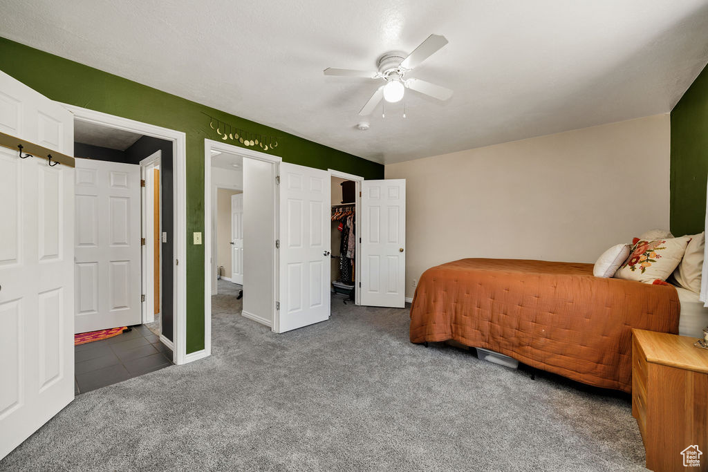 Bedroom with carpet floors, a walk in closet, and ceiling fan