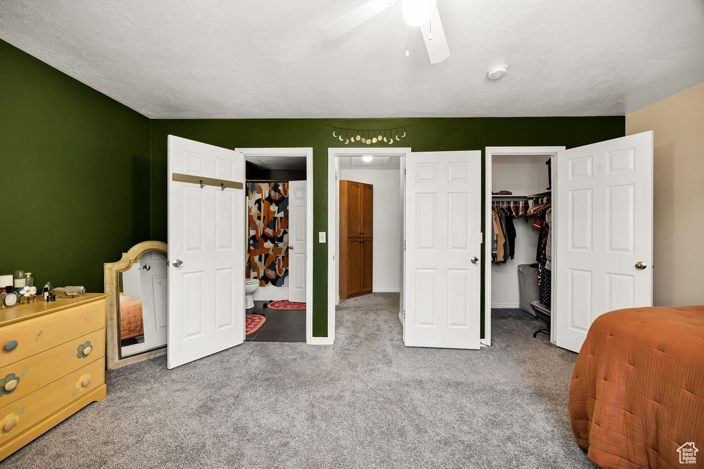 Bedroom featuring a walk in closet, carpet, a closet, and ceiling fan
