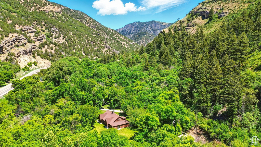 View of mountain backdrop featuring a heavily wooded area