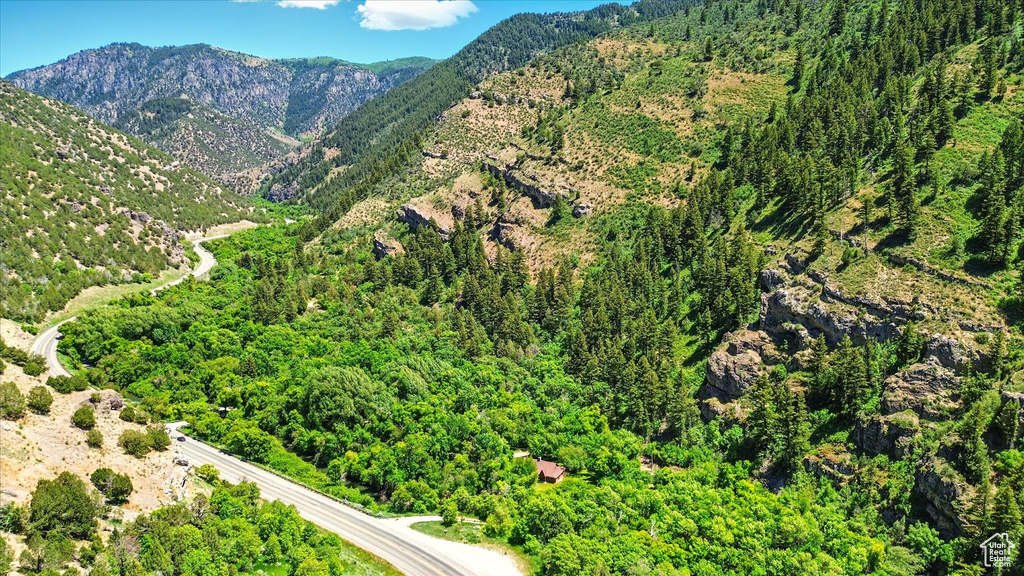 View of mountain backdrop with a heavily wooded area