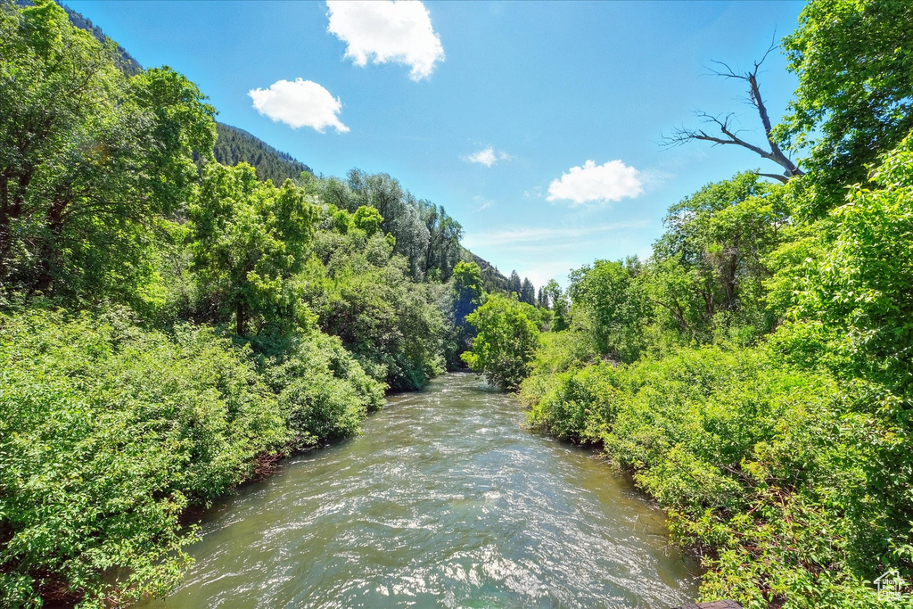 Water view with a heavily wooded area