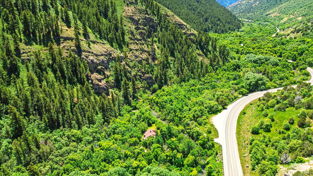 Bird\\\'s eye view of a forest and mountains