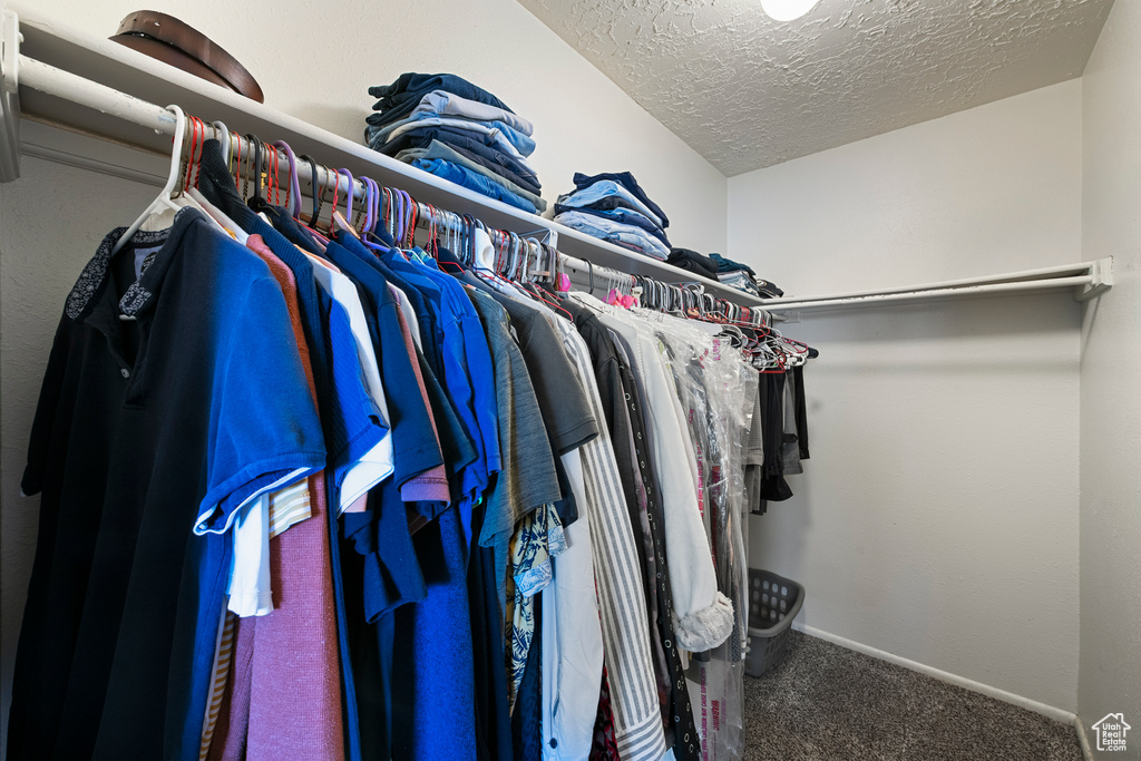 Spacious closet featuring carpet