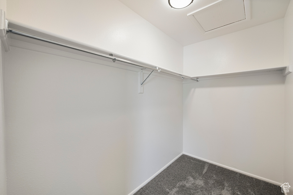 Walk in closet with dark carpet