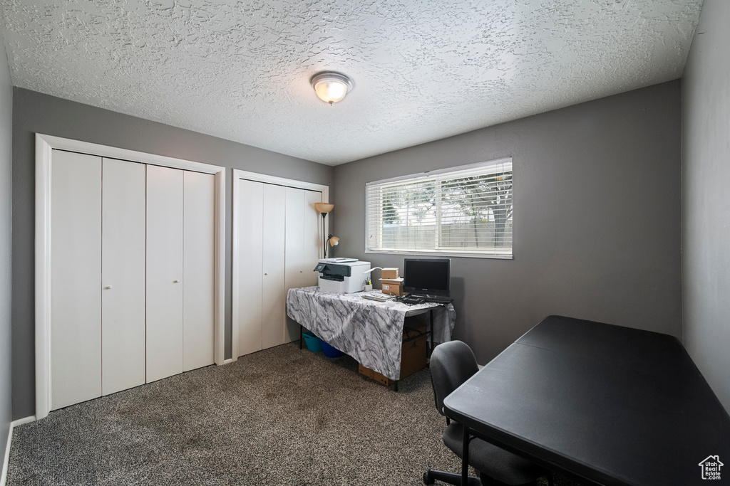 Carpeted home office with a textured ceiling