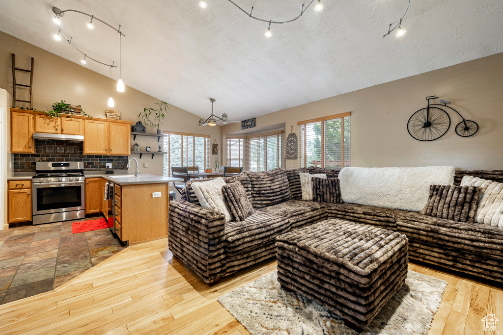 Living area with lofted ceiling, light wood finished floors, and a textured ceiling