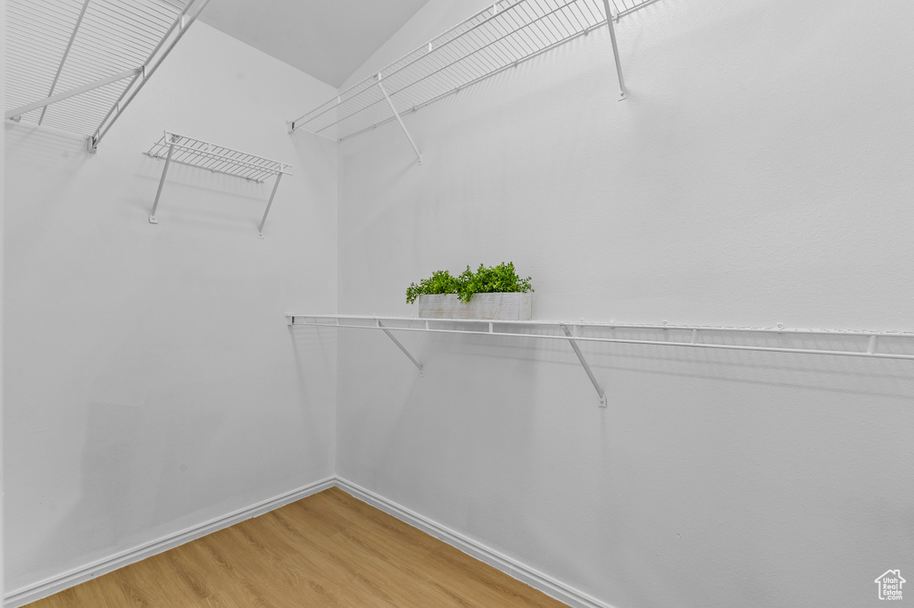 Spacious closet featuring light wood-style flooring