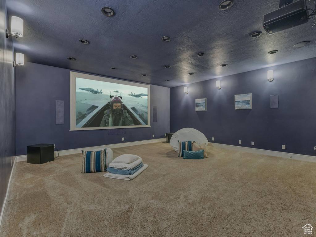 Carpeted cinema room featuring baseboards and a textured ceiling