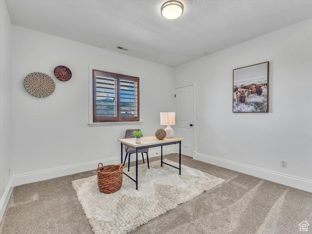 Carpeted home office with baseboards