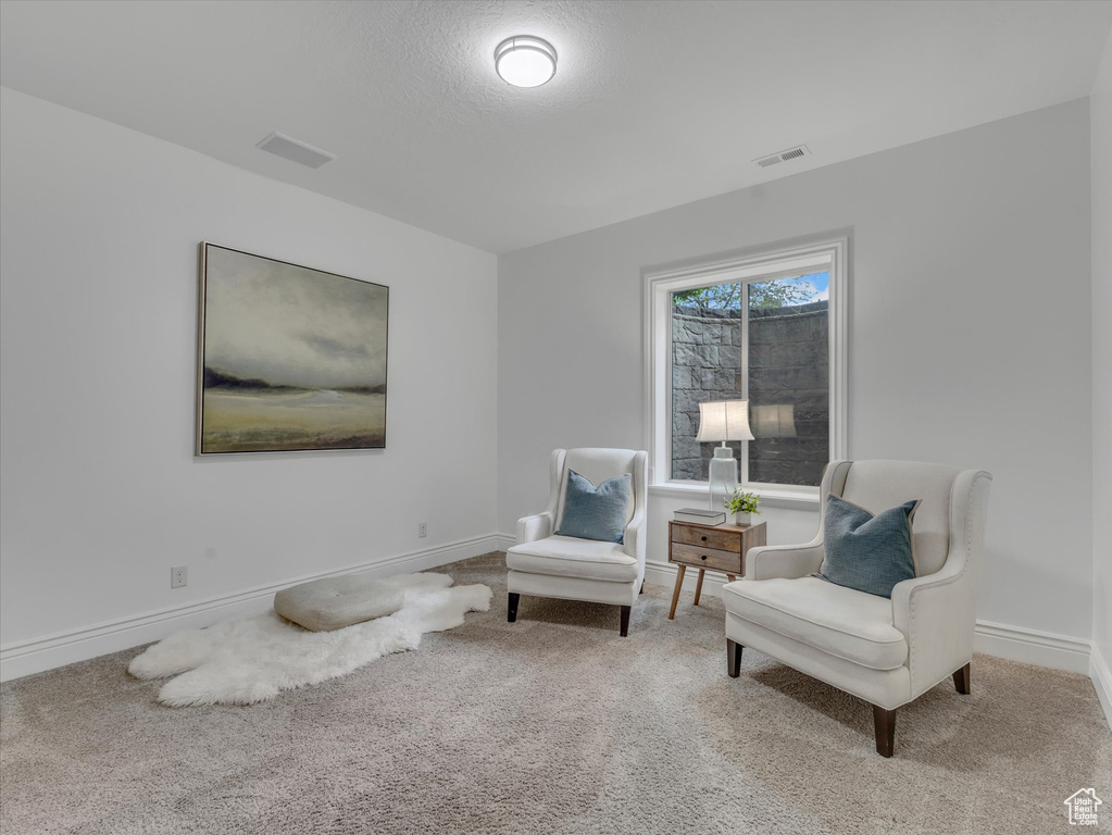Sitting room with carpet floors