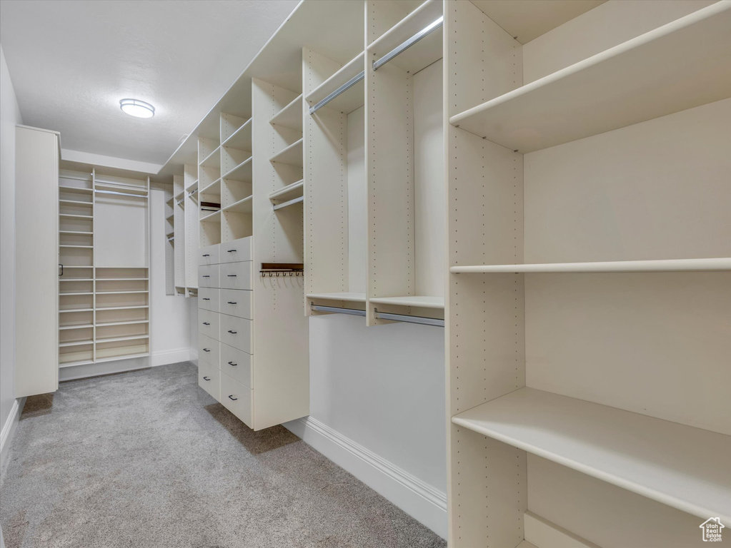 Walk in closet featuring carpet
