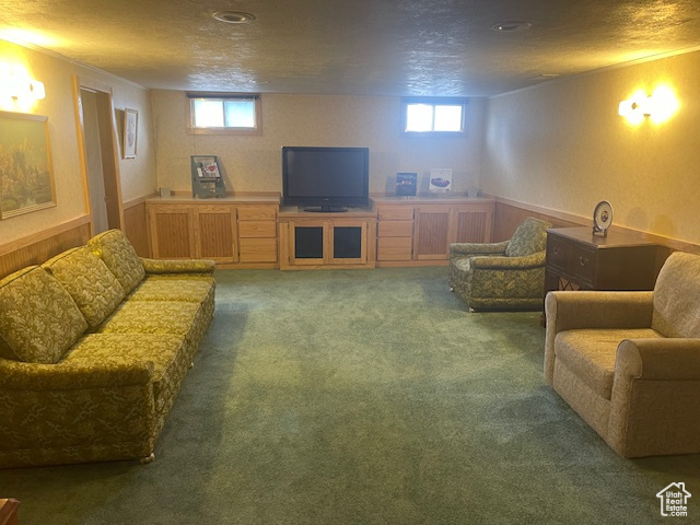 Living area featuring carpet floors and a textured ceiling