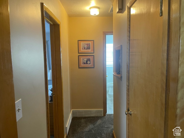 Hallway featuring carpet flooring