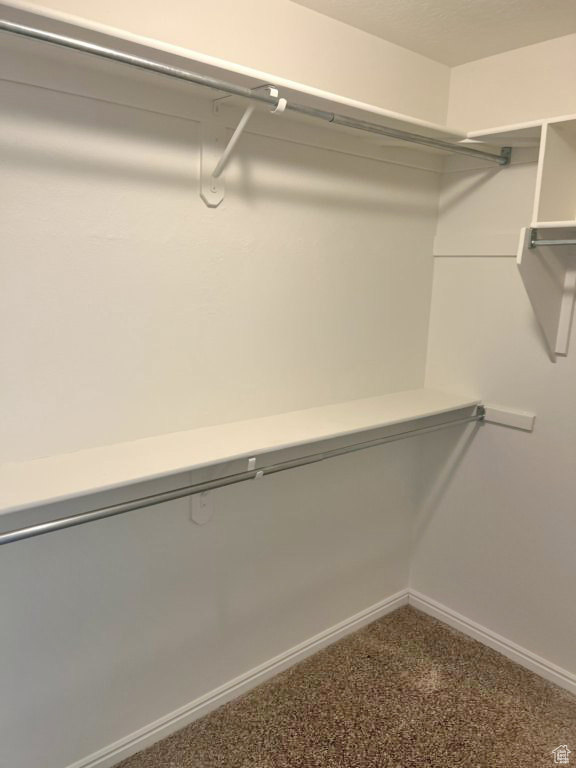 Spacious closet with carpet floors
