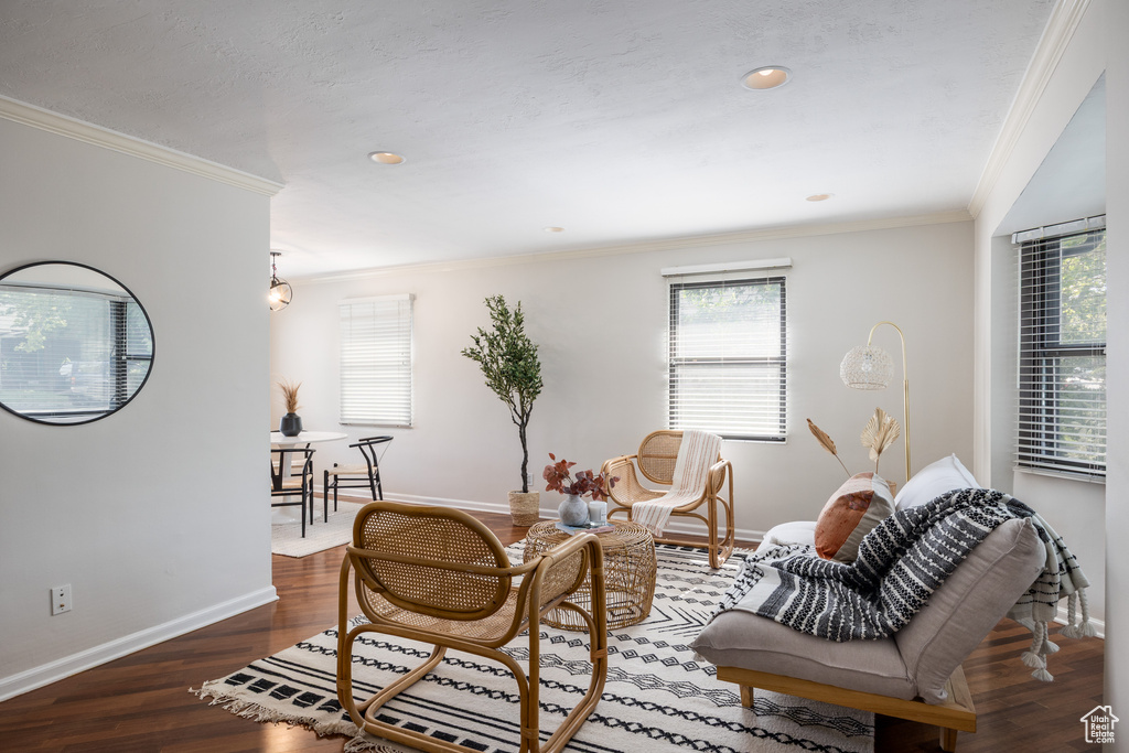 Living room featuring ornamental molding, wood finished floors, and recessed lighting