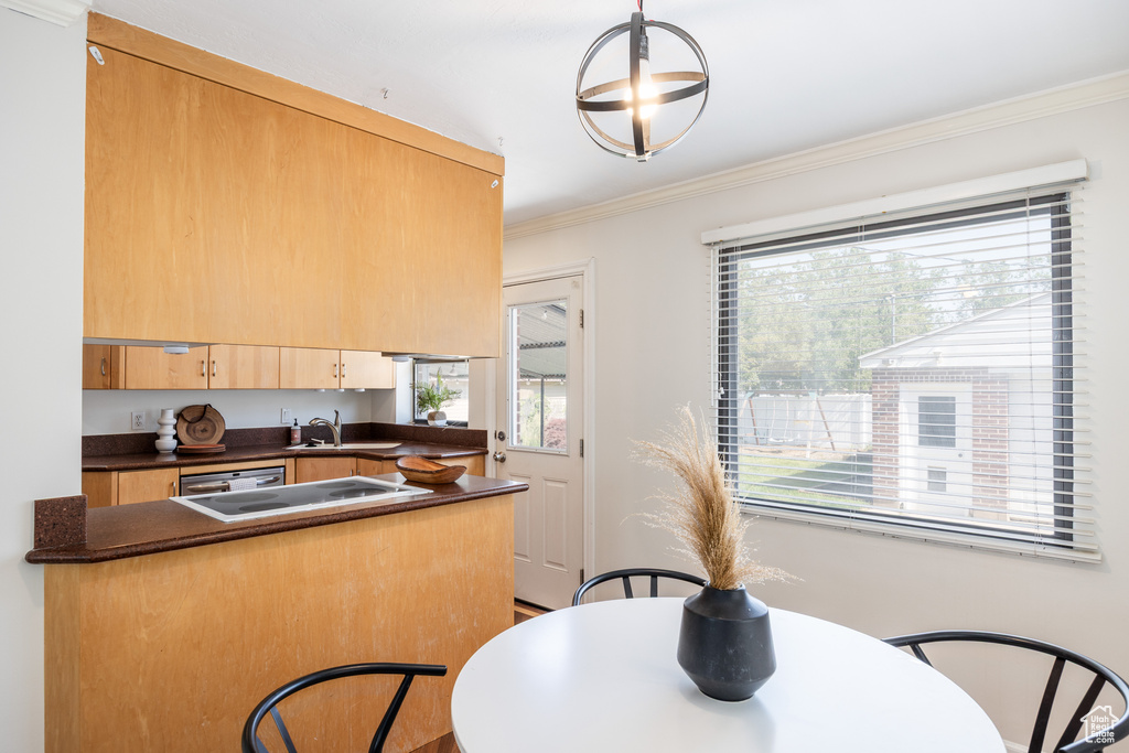Kitchen featuring dark countertops, plenty of natural light, ornamental molding, dishwasher, and electric cooktop