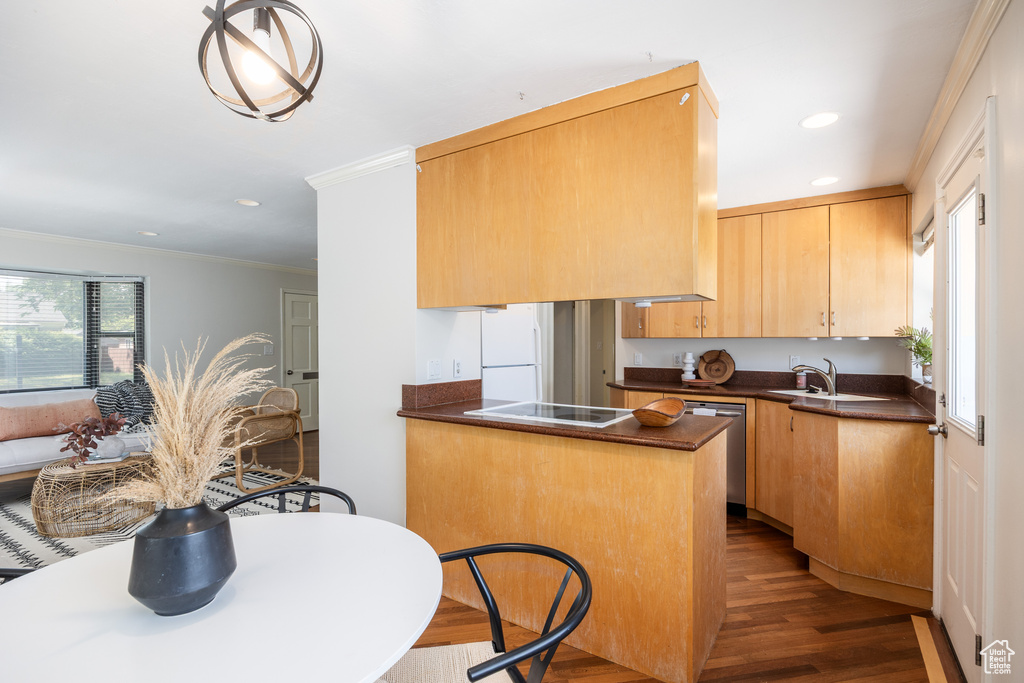 Kitchen featuring dark countertops, freestanding refrigerator, dark wood-style flooring, stainless steel dishwasher, and ornamental molding