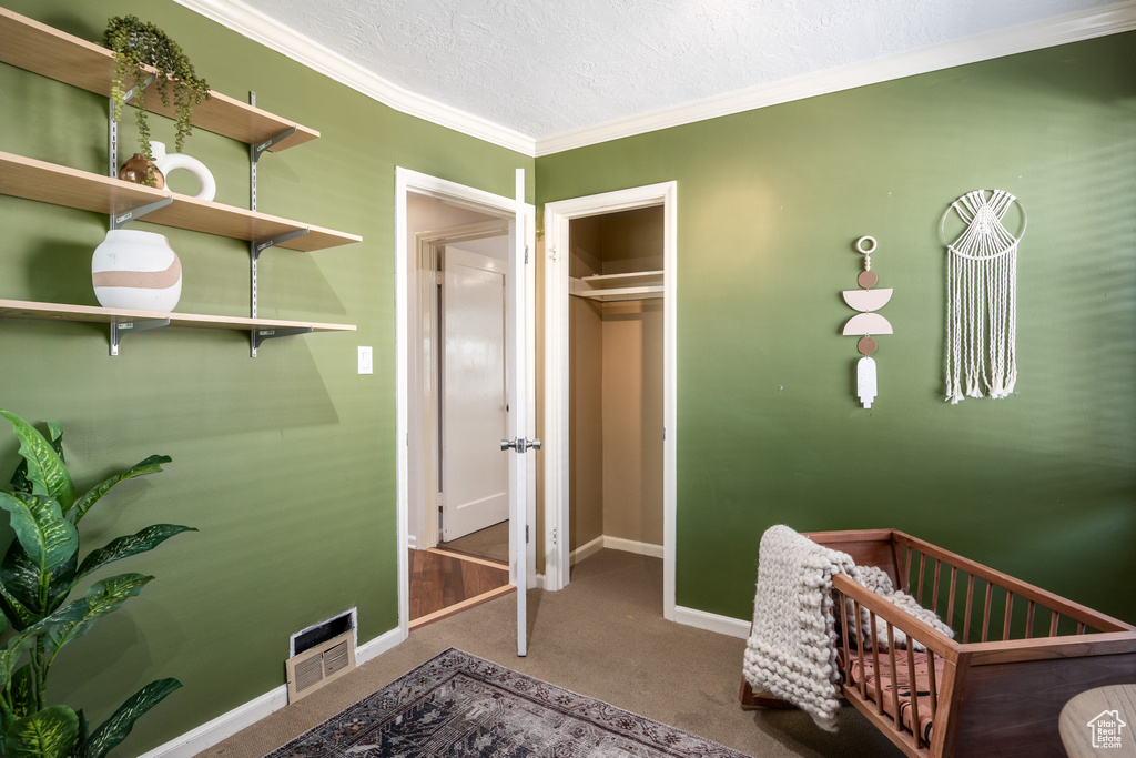 Carpeted bedroom featuring crown molding and a textured ceiling