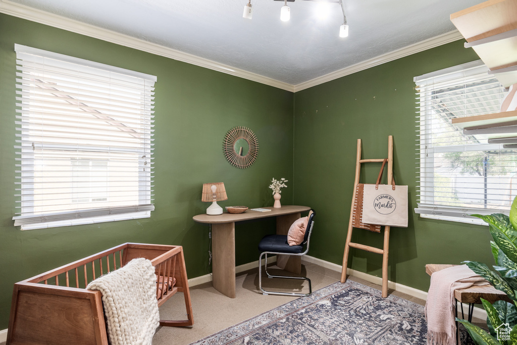 Carpeted home office with healthy amount of natural light and ornamental molding