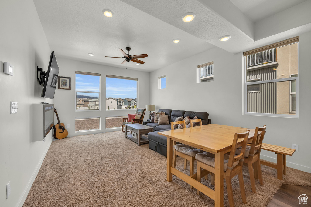 Living room featuring ceiling fan and recessed lighting