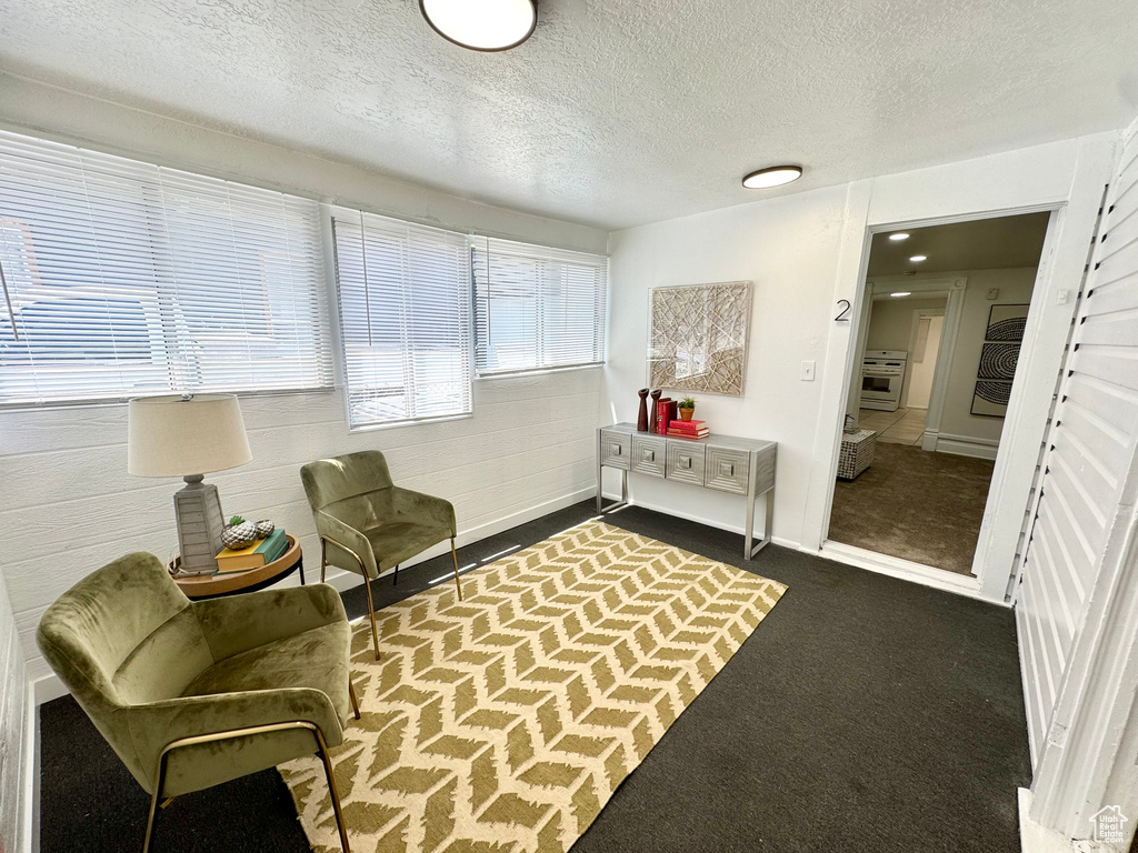 Living area with dark carpet and a textured ceiling