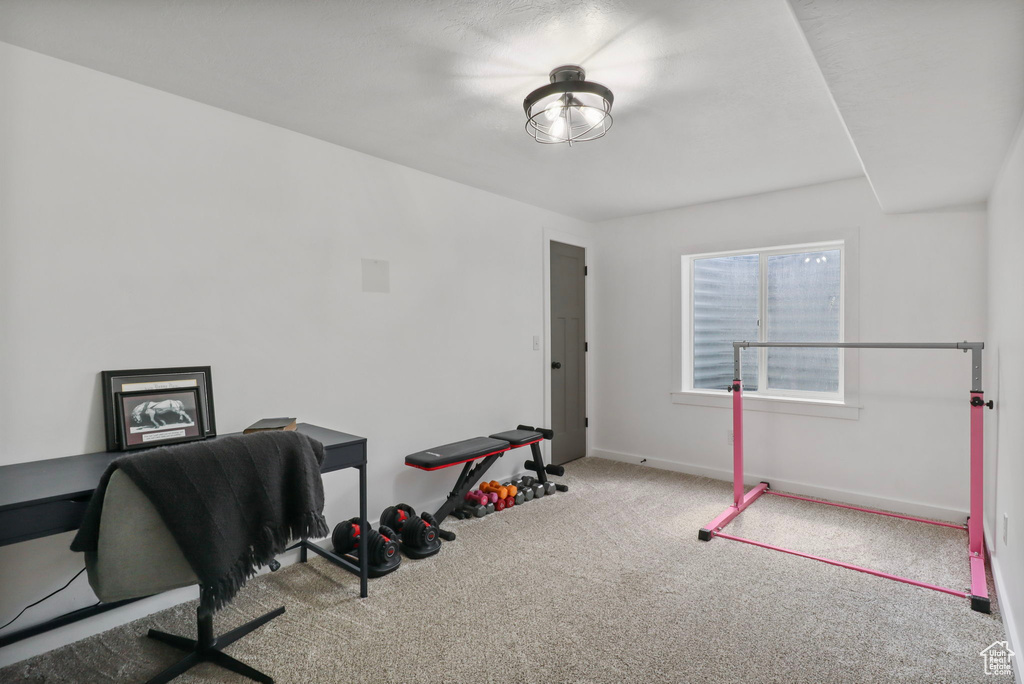 Office area featuring carpet flooring and baseboards