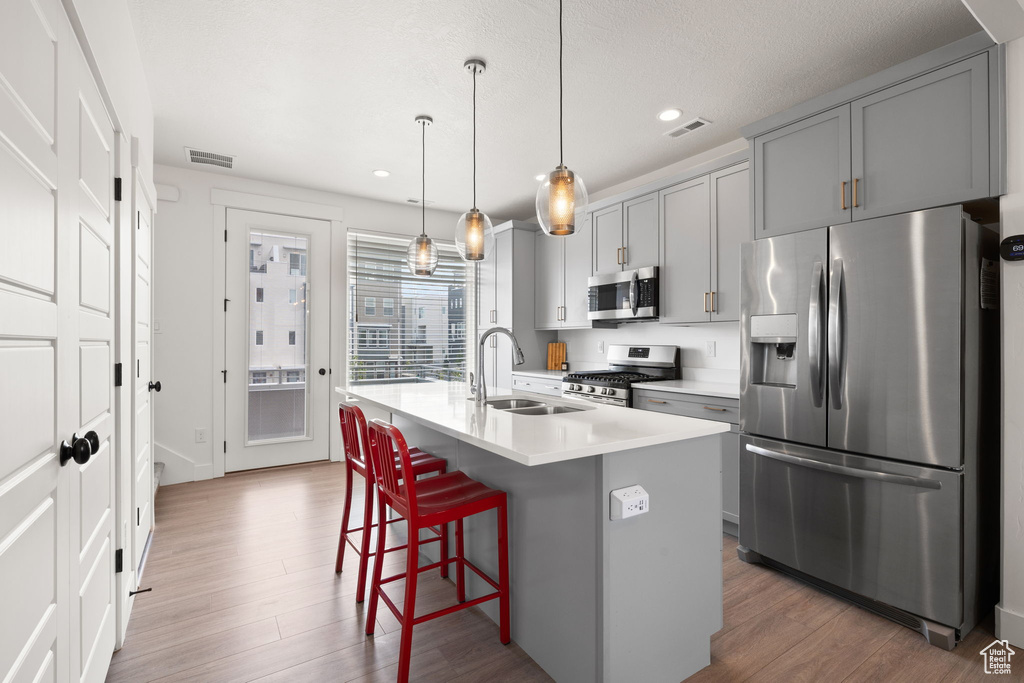 Kitchen with stainless steel appliances, gray cabinets, wood finished floors, a kitchen bar, and an island with sink