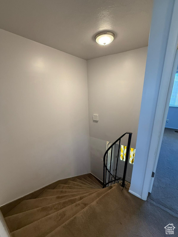 Stairway with carpet floors and baseboards