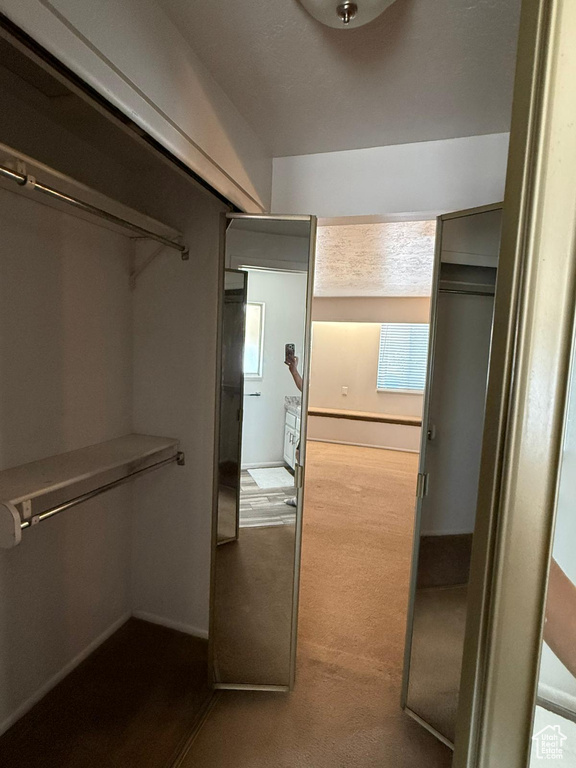 Walk in closet with carpet