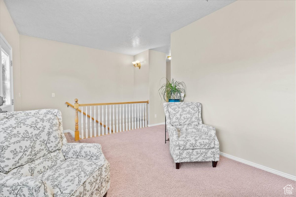 Living area with carpet flooring and a textured ceiling