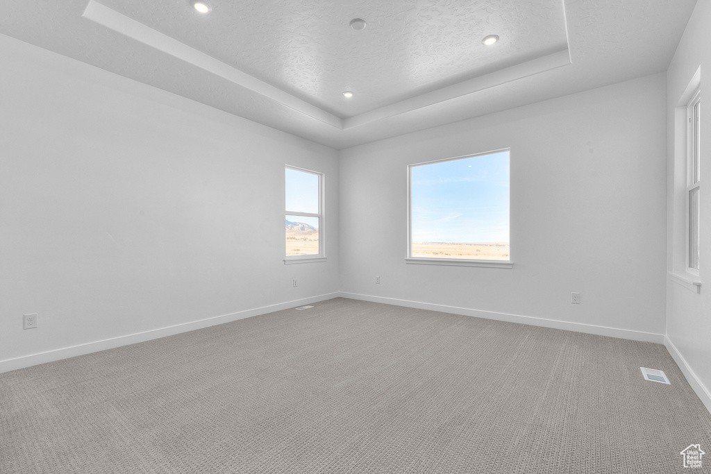 Unfurnished room featuring a raised ceiling, light carpet, a textured ceiling, and recessed lighting