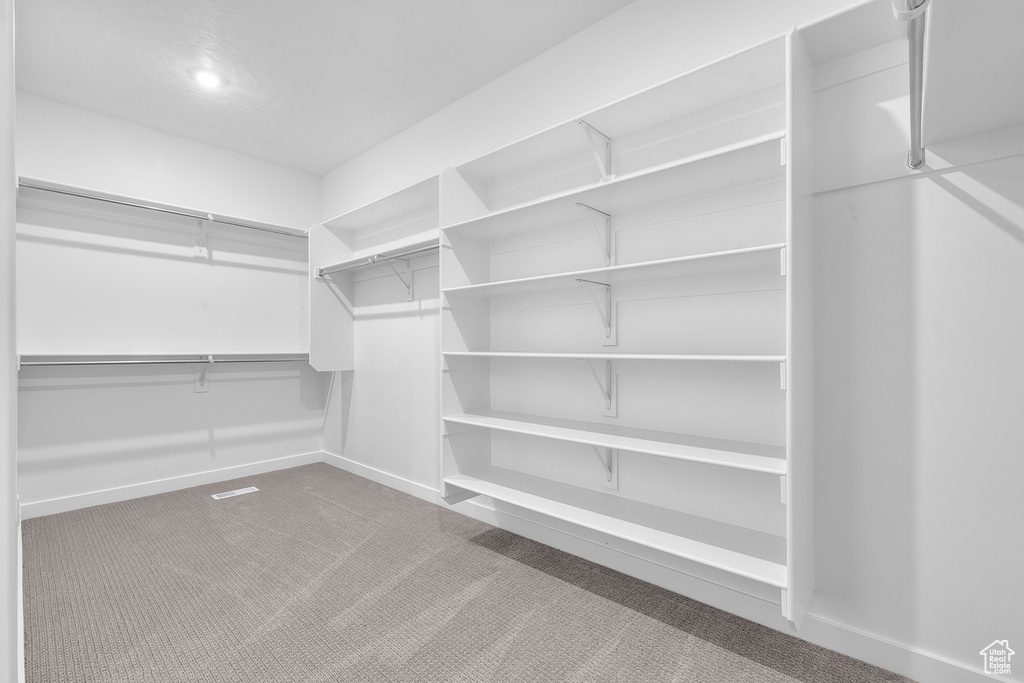 Walk in closet featuring carpet floors