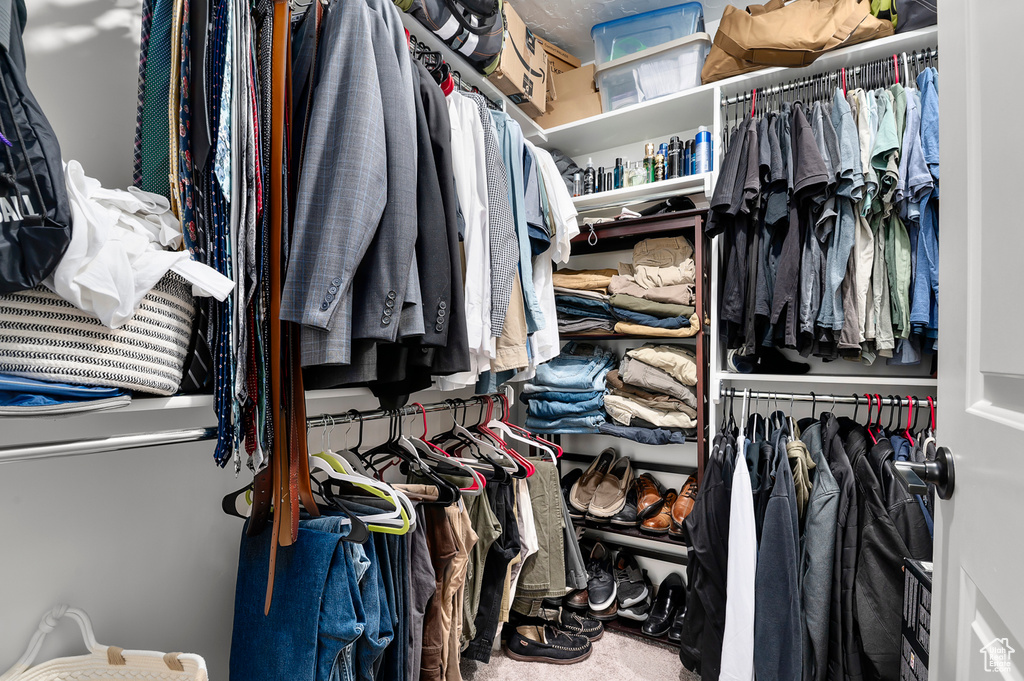 Spacious closet featuring carpet flooring