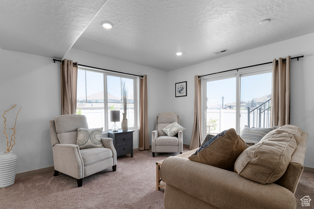 Living area featuring light carpet, a textured ceiling, and recessed lighting