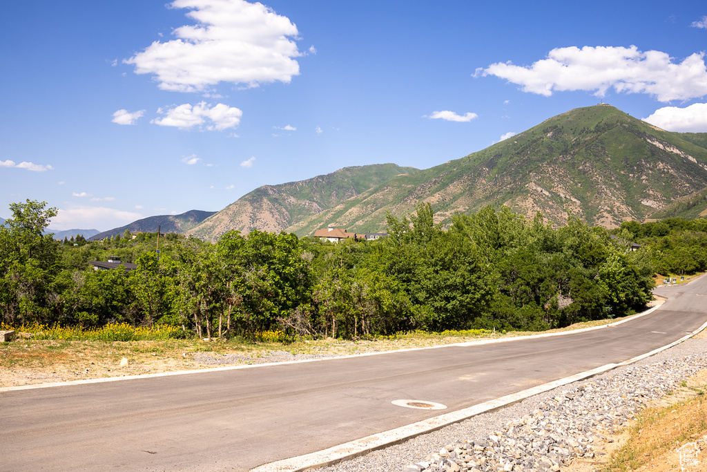 View of mountain background