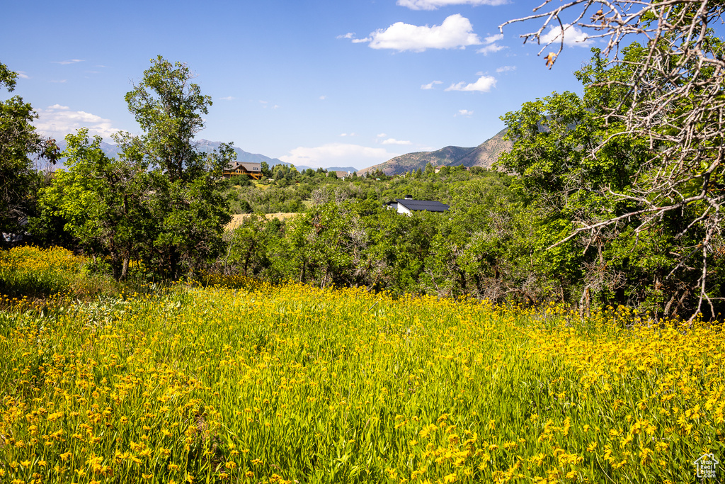 View of mountain backdrop