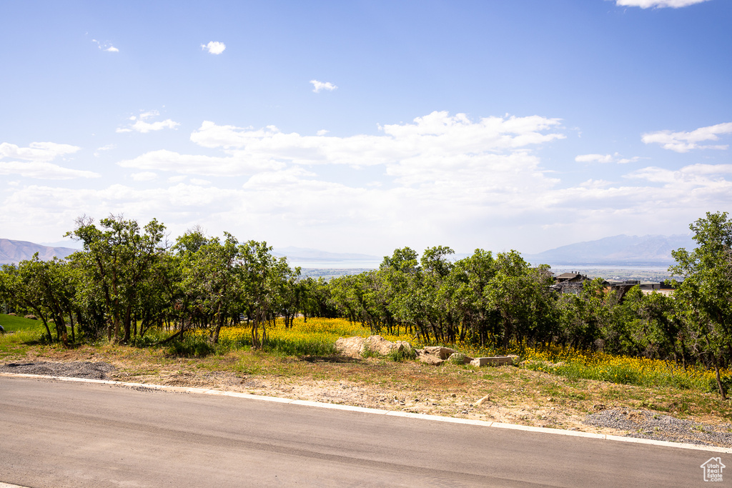 View of asphalt road featuring a mountain view